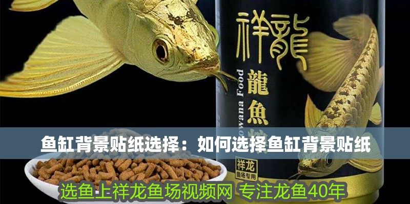 魚缸背景貼紙選擇：如何選擇魚缸背景貼紙