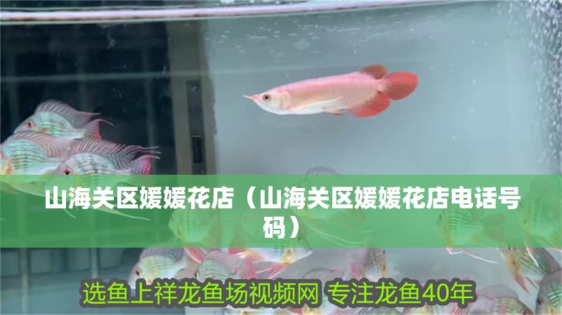 山海關區媛媛花店（山海關區媛媛花店電話號碼）