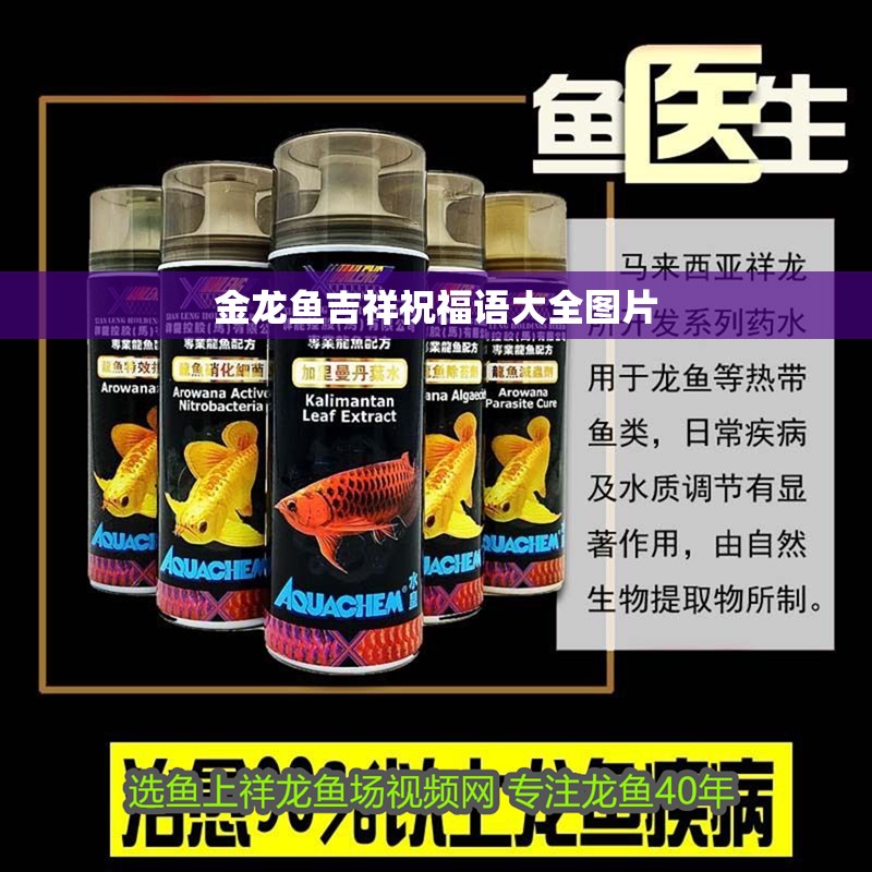 金龍魚吉祥祝福語大全圖片