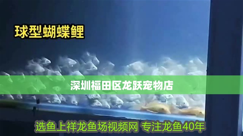 深圳福田區(qū)龍躍寵物店