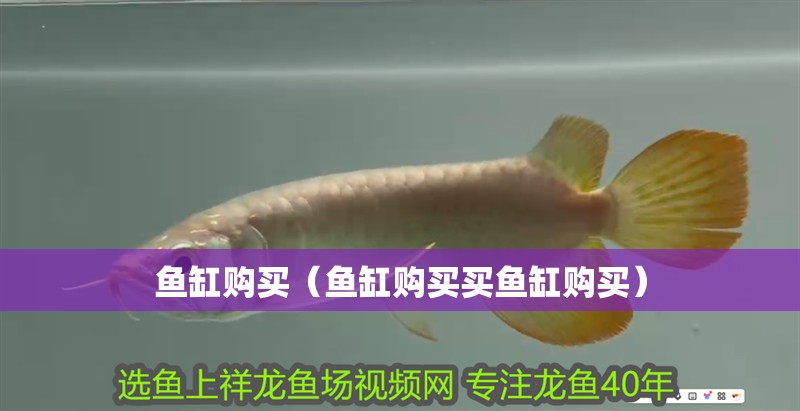 魚缸購買（魚缸購買買魚缸購買）