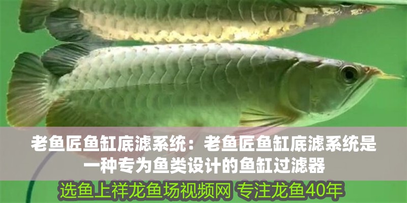 老魚匠魚缸底濾系統：老魚匠魚缸底濾系統是一種專為魚類設計的魚缸過濾器
