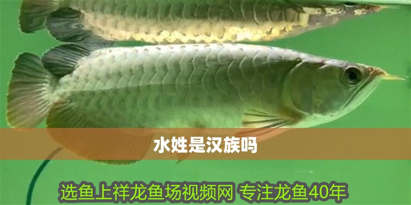 水姓是漢族嗎