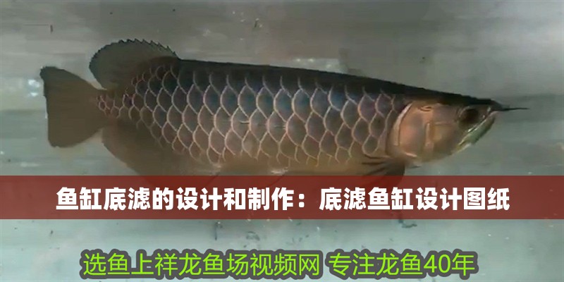 魚缸底濾的設計和制作：底濾魚缸設計圖紙 魚缸底濾的設計和制作：底濾魚缸設計圖紙 魚缸百科