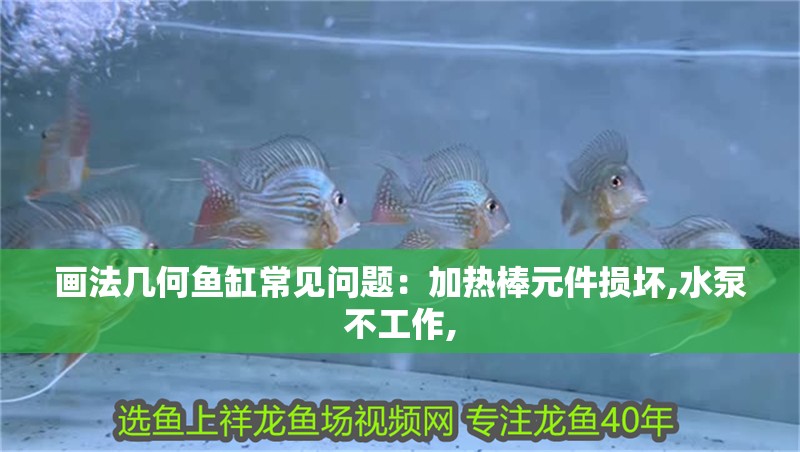 畫法幾何魚缸常見問題：加熱棒元件損壞,水泵不工作,