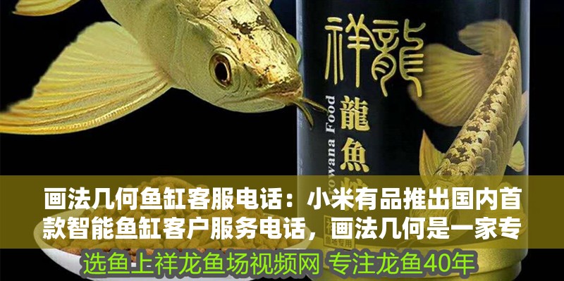 畫法幾何魚缸客服電話：小米有品推出國內(nèi)首款智能魚缸客戶服務電話，畫法幾何是一家專注于水族智能領域的創(chuàng)新型科技企業(yè) 畫法幾何魚缸客服電話：小米有品推出國內(nèi)首款智能魚缸客戶服務電話，畫法幾何是一家專注于水族智能領域的創(chuàng)新型科技企業(yè) 魚缸百科