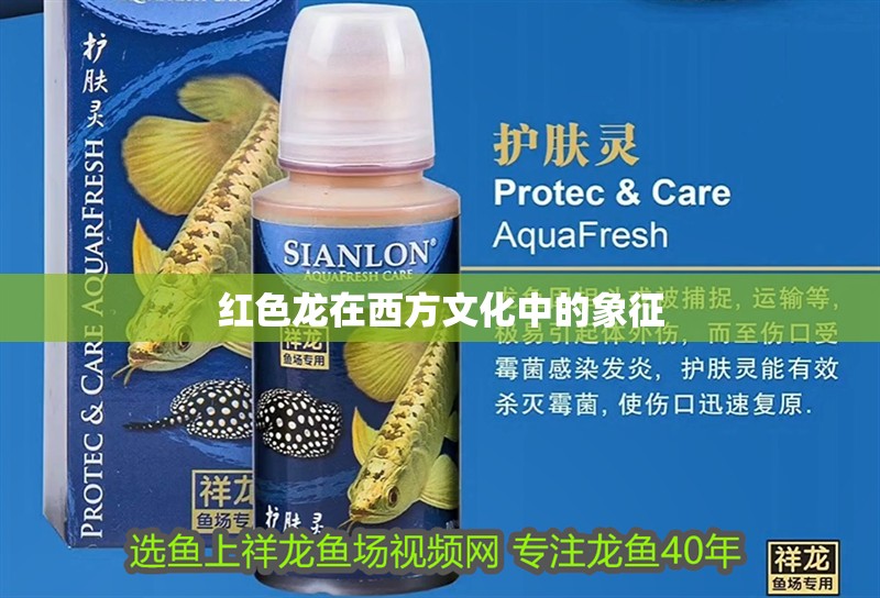 紅色龍在西方文化中的象征