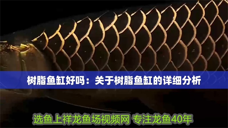 樹脂魚缸好嗎：關于樹脂魚缸的詳細分析