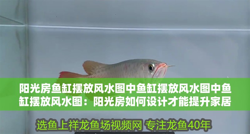 紅龍魚用黃燈烤有用嗎 陽光房魚缸擺放風水圖中魚缸擺放風水圖中魚缸擺放風水圖:陽光房如何設計才能提升家居生活品質 魚缸百科 陽光房魚缸擺放風水圖中魚缸擺放風水圖中魚缸擺放風水圖:陽光房如何設計才能提升家居生活品質 陽光房魚缸擺放風水圖中魚缸擺放風水圖中魚缸擺放風水圖:陽光房如何設計才能提升家居生活品質 魚缸百科