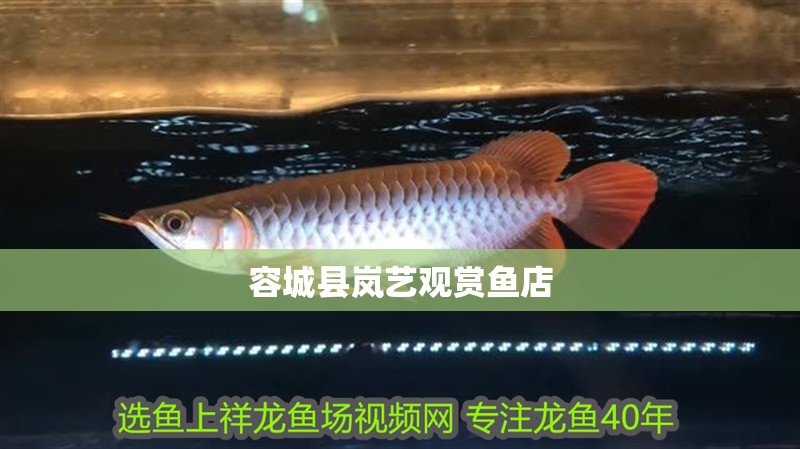 <strong><mark>容城</mark></strong>縣嵐藝觀賞魚店