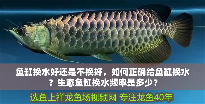 魚缸換水好還是不換好，如何正確給魚缸換水？生態(tài)魚缸換水頻率是多少？ 魚缸換水好還是不換好，如何正確給魚缸換水？生態(tài)魚缸換水頻率是多少？ 魚缸百科