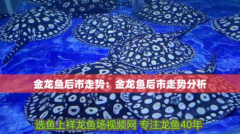 金龍魚后市走勢(shì)：金龍魚后市走勢(shì)分析