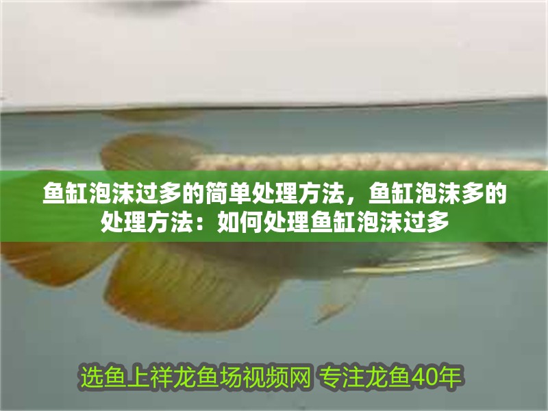 魚缸泡沫過多的簡單處理方法，魚缸泡沫多的處理方法：如何處理魚缸泡沫過多 魚缸泡沫過多的簡單處理方法，魚缸泡沫多的處理方法：如何處理魚缸泡沫過多 魚缸百科