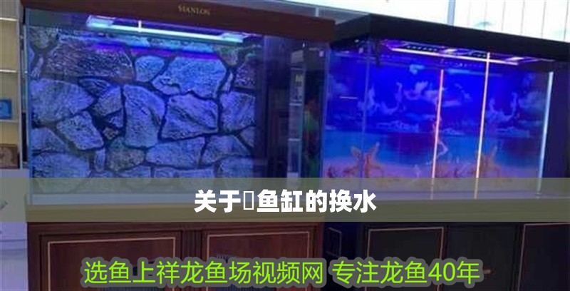關于魟魚缸的換水