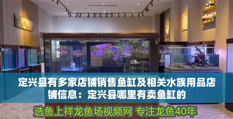 定興縣有多家店鋪銷售魚缸及相關水族用品店鋪信息：定興縣哪里有賣魚缸的