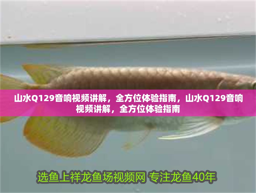 詳細閱讀:山水Q129音響視頻講解,全方位體驗指南,山水Q129音響視頻講解,全方位體驗指南 山水Q129音響視頻講解,全方位體驗指南,山水Q129音響視頻講解,全方位體驗指南