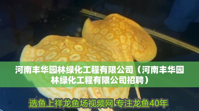 河南豐華園林綠化工程有限公司（河南豐華園林綠化工程有限公司招聘）