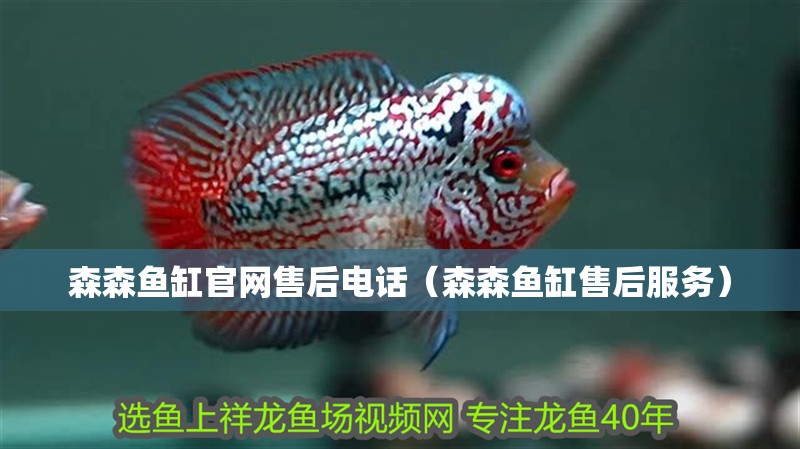 森森魚缸官網(wǎng)售后電話（森森魚缸售后服務(wù)）