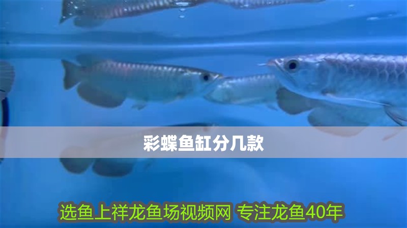 彩蝶魚缸分幾款