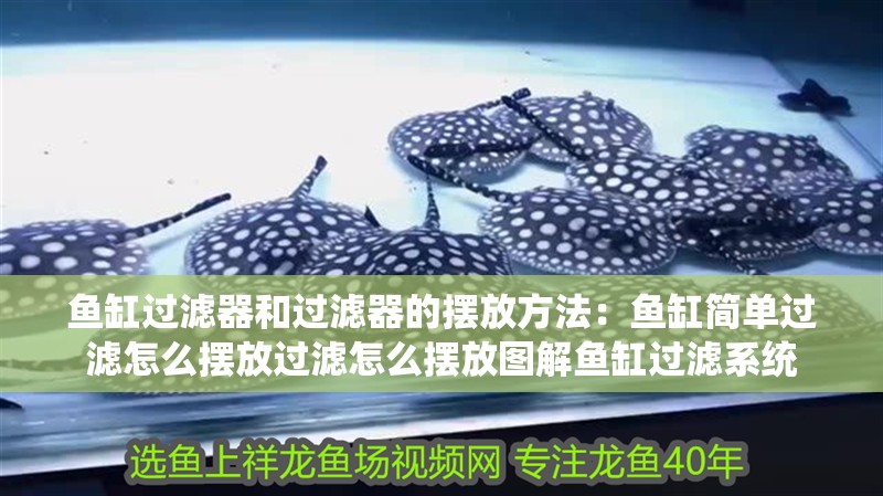 魚缸過濾器和過濾器的擺放方法：魚缸簡單過濾怎么擺放過濾怎么擺放圖解魚缸過濾系統 魚缸過濾器和過濾器的擺放方法：魚缸簡單過濾怎么擺放過濾怎么擺放圖解魚缸過濾系統 魚缸百科