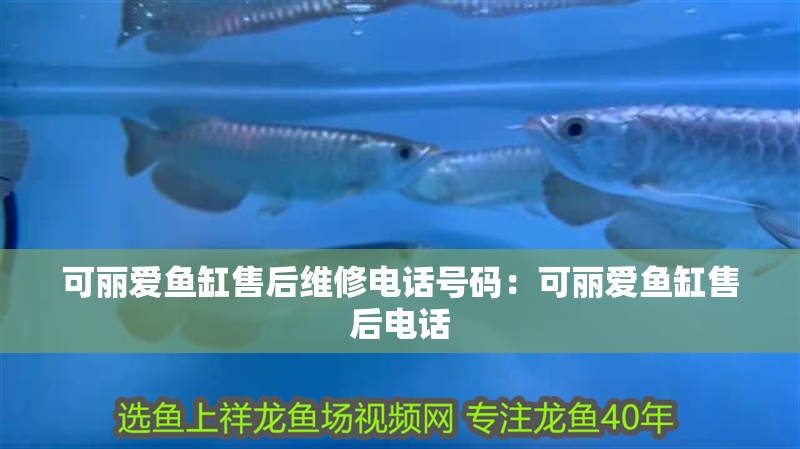 可麗愛魚缸售后維修電話號碼：可麗愛魚缸售后電話 可麗愛魚缸售后維修電話號碼：可麗愛魚缸售后電話 魚缸百科