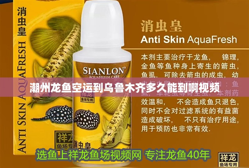 潮州龍魚空運到烏魯木齊多久能到啊視頻