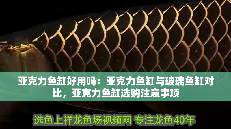 亞克力魚缸好用嗎：亞克力魚缸與玻璃魚缸對比，亞克力魚缸選購注意事項