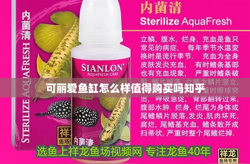 可麗愛魚缸怎么樣值得購買嗎知乎