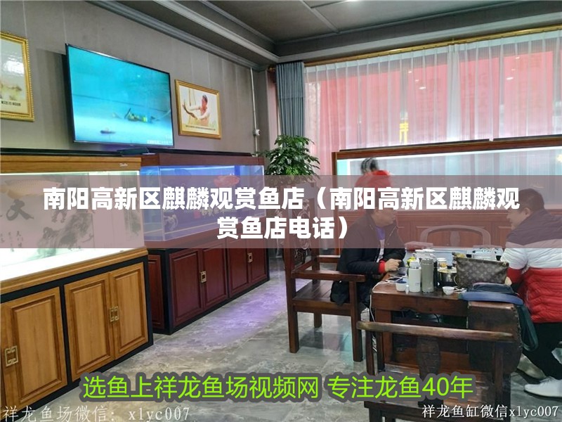 龍魚怕什么 南陽高新區(qū)麒麟觀賞魚店(南陽高新區(qū)麒麟觀賞魚店電話) 全國水族館企業(yè)名錄 南陽高新區(qū)麒麟觀賞魚店(南陽高新區(qū)麒麟觀賞魚店電話) 南陽高新區(qū)麒麟觀賞魚店(南陽高新區(qū)麒麟觀賞魚店電話) 全國水族館企業(yè)名錄