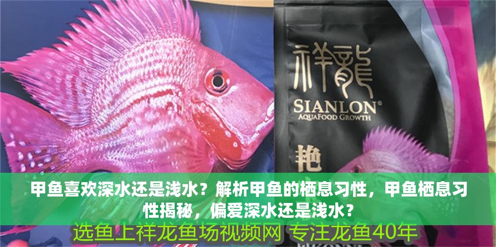甲魚喜歡深水還是淺水？解析甲魚的棲息習(xí)性，甲魚棲息習(xí)性揭秘，偏愛深水還是淺水？