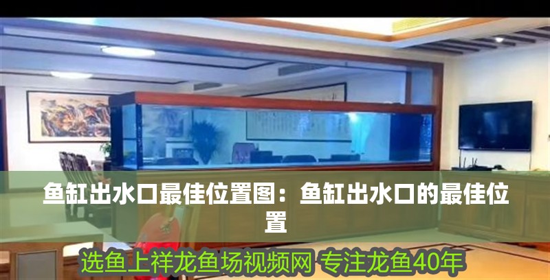 魚(yú)缸出水口最佳位置圖：魚(yú)缸出水口的最佳位置 魚(yú)缸出水口最佳位置圖：魚(yú)缸出水口的最佳位置 魚(yú)缸百科