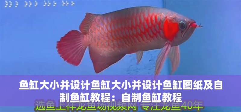 魚缸大小并設(shè)計(jì)魚缸大小并設(shè)計(jì)魚缸圖紙及自制魚缸教程：自制魚缸教程 魚缸大小并設(shè)計(jì)魚缸大小并設(shè)計(jì)魚缸圖紙及自制魚缸教程：自制魚缸教程 魚缸百科
