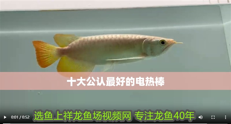 十大公認最好的電熱棒
