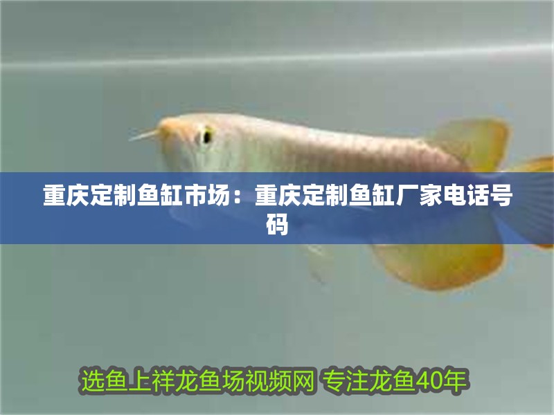 重慶定制魚(yú)缸市場(chǎng)：重慶定制魚(yú)缸廠家電話(huà)號(hào)碼