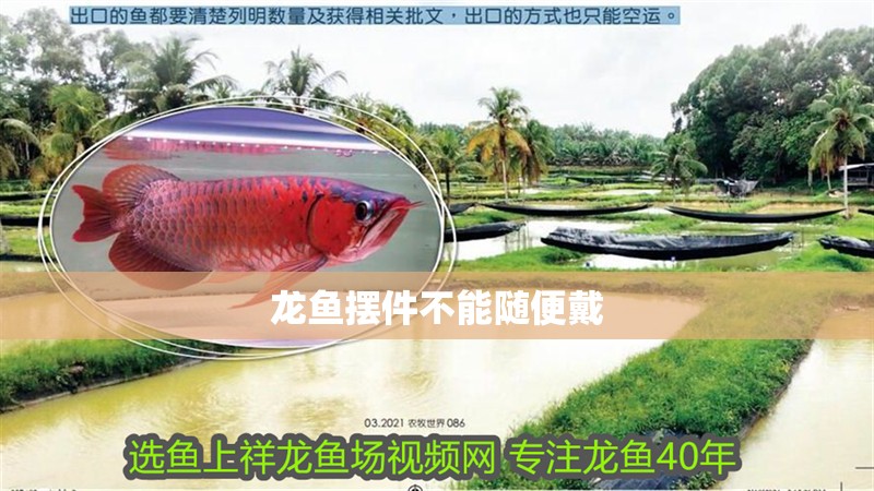 龍魚擺件不能隨便戴