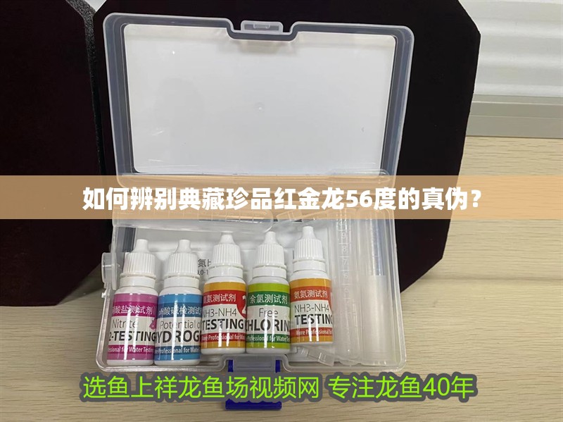 如何辨別典藏珍品紅金龍56度的真偽？