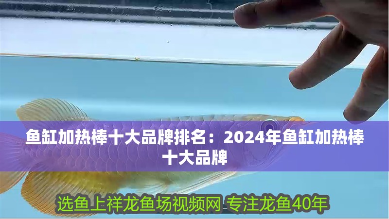 魚缸加熱棒十大品牌排名：2024年魚缸加熱棒十大品牌