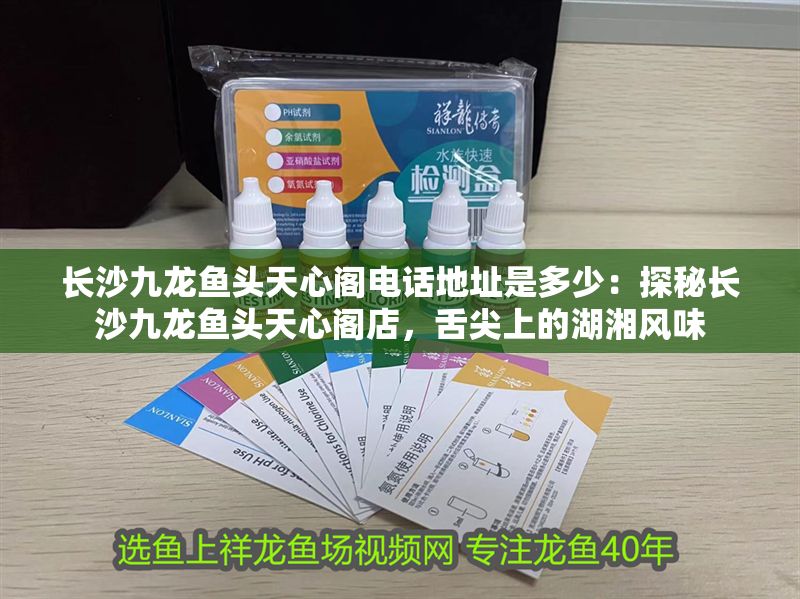長(zhǎng)沙九龍魚(yú)頭天心閣電話地址是多少：探秘長(zhǎng)沙九龍魚(yú)頭天心閣店，舌尖上的湖湘風(fēng)味