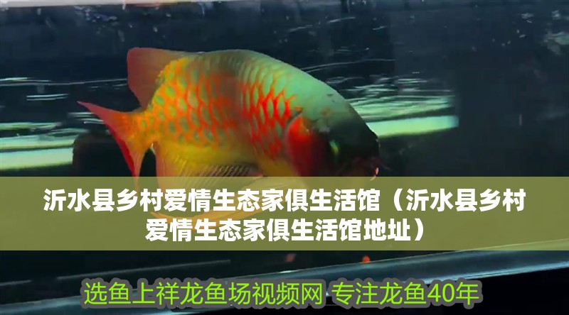 什么魚能和龍魚、虎魚混養(龍魚能和虎魚混養嗎) 沂水縣鄉村愛情生態家俱生活館(沂水縣鄉村愛情生態家俱生活館地址) 全國水族館企業名錄 沂水縣鄉村愛情生態家俱生活館(沂水縣鄉村愛情生態家俱生活館地址) 沂水縣鄉村愛情生態家俱生活館(沂水縣鄉村愛情生態家俱生活館地址) 全國水族館企業名錄