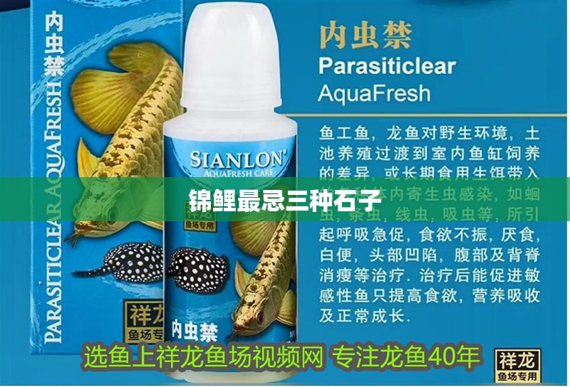 錦鯉最忌三種石子