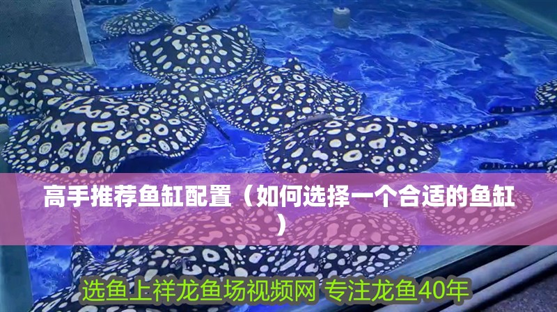 高手推薦魚缸配置（如何選擇一個合適的魚缸）