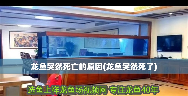 龍魚突然死亡的原因(龍魚突然死了)