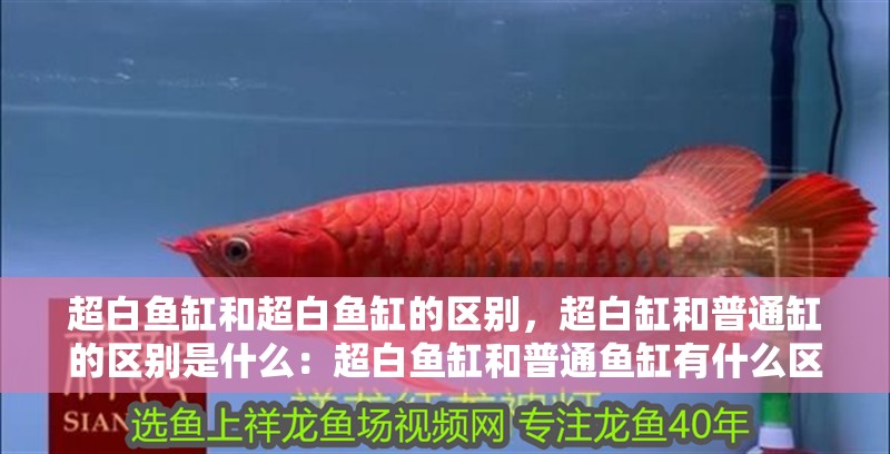 超白魚缸和超白魚缸的區別，超白缸和普通缸的區別是什么：超白魚缸和普通魚缸有什么區別？