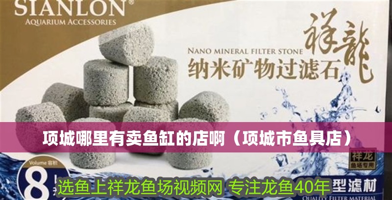 魚缸過濾器選購指南:自制魚缸過濾器魚缸上置過濾器對于養魚愛好者的必備知識 項城哪里有賣魚缸的店啊(項城市魚具店) 全國水族館企業名錄 項城哪里有賣魚缸的店啊(項城市魚具店) 項城哪里有賣魚缸的店啊(項城市魚具店) 全國水族館企業名錄