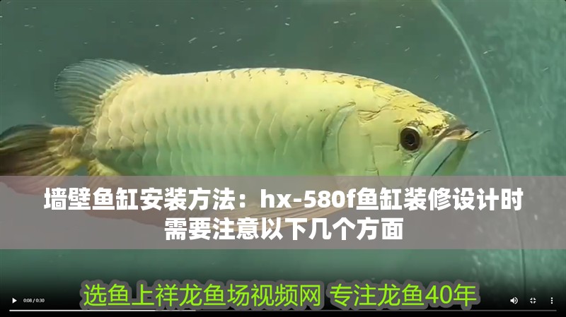 墻壁魚缸安裝方法：hx-580f魚缸裝修設(shè)計時需要注意以下幾個方面
