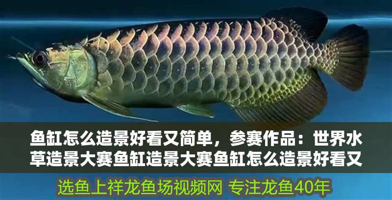 魚缸怎么造景好看又簡單，參賽作品：世界水草造景大賽魚缸造景大賽魚缸怎么造景好看又簡單