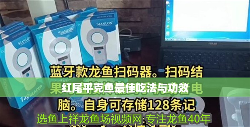 紅尾平克魚(yú)最佳吃法與功效