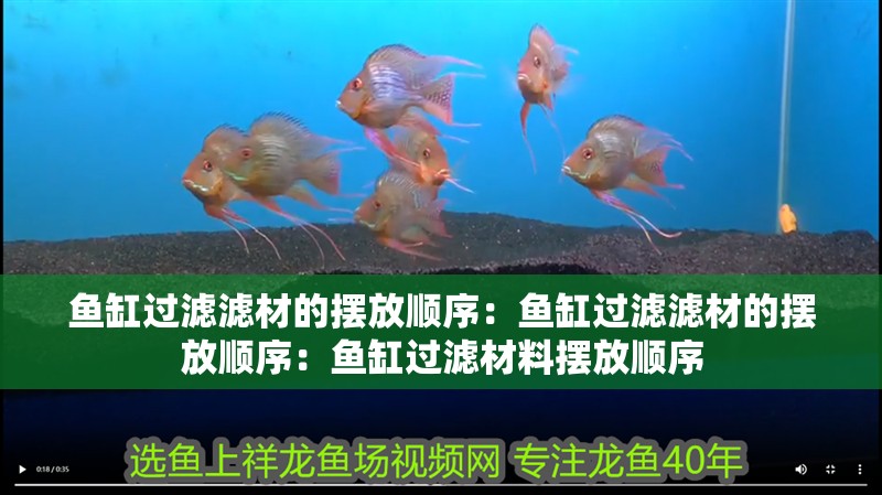 魚缸過濾濾材的擺放順序：魚缸過濾濾材的擺放順序：魚缸過濾材料擺放順序 魚缸過濾濾材的擺放順序：魚缸過濾濾材的擺放順序：魚缸過濾材料擺放順序 魚缸百科
