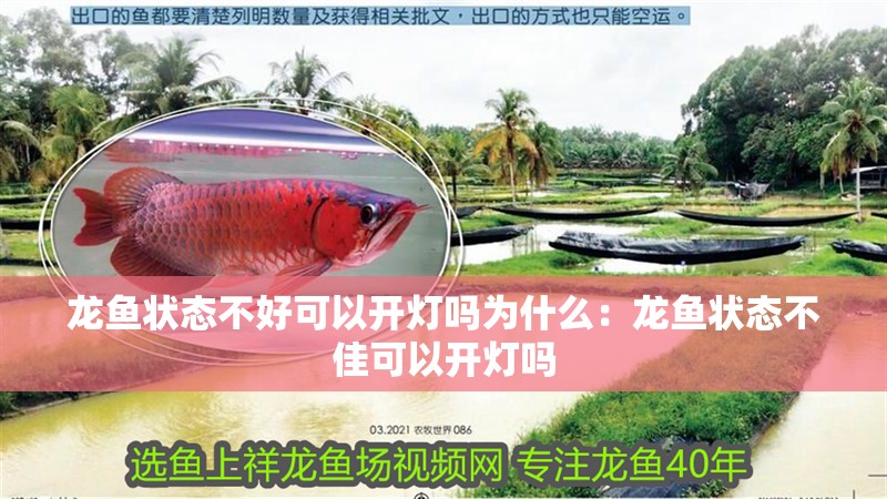 龍魚狀態不好可以開燈嗎為什么：龍魚狀態不佳可以開燈嗎 龍魚狀態不好可以開燈嗎為什么：龍魚狀態不佳可以開燈嗎 龍魚百科