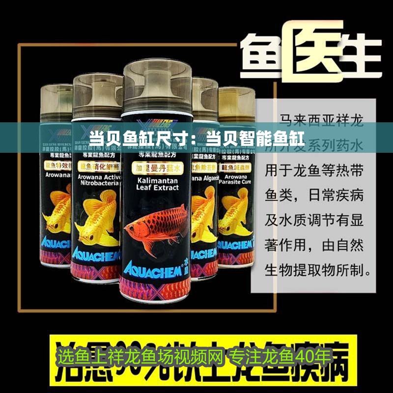 當(dāng)貝魚(yú)缸尺寸：當(dāng)貝智能魚(yú)缸